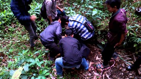 Kumpulan Mesum Di Hutan